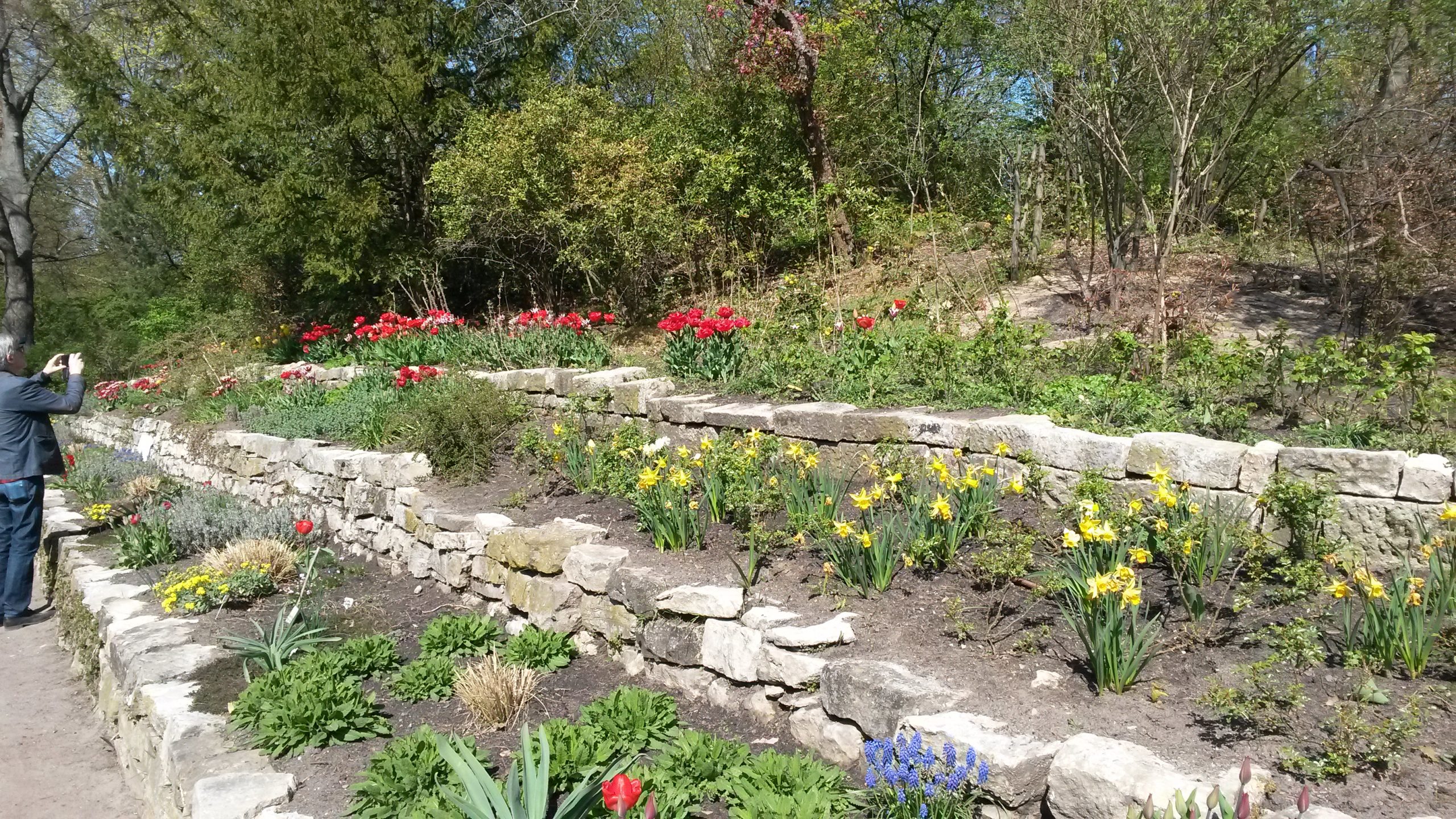 Blühendes Beet an der Tockenmauer
