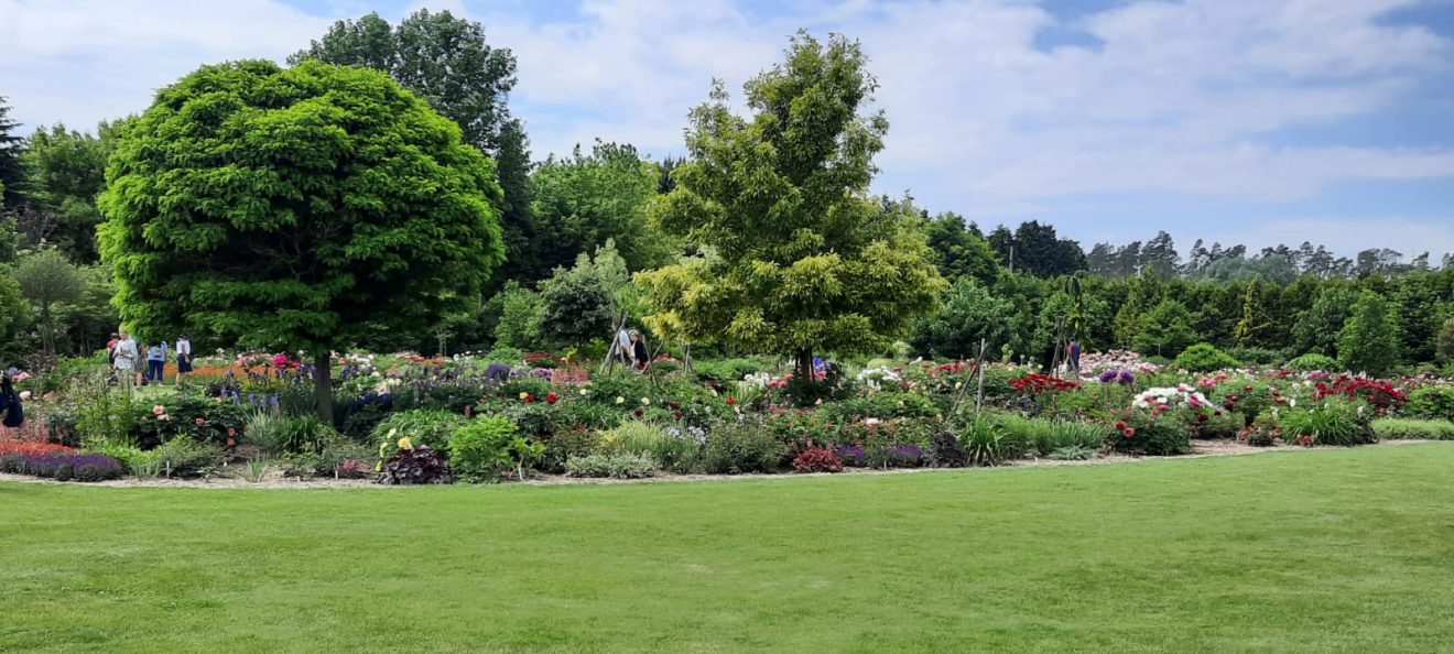 Ausflug zum Botanischen Garten in Christiansberg BürgerparkVerein